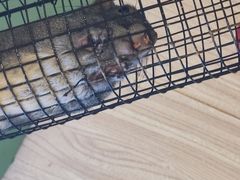 -水上乐园·欢乐世界