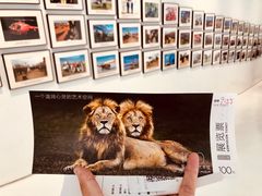 -罗红摄影艺术馆