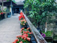 -铜锣湾·有麝自然香(重庆新天地店)