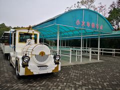 -上海海湾国家森林公园