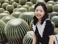 -南山植物园