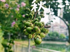 -宝岛公园
