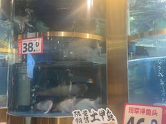 -蜀滋香鲜鱼美蛙火锅(339店)