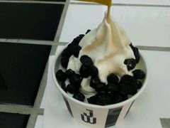 -JW德国冻酸奶Frozen Yogurt(龙湖成都滨江天街店)