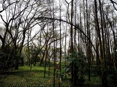 -紫金山索道-售票处