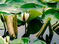 -长春公园(普阳街道)