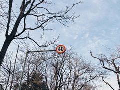 -观象山公园