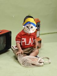 -十孕纪高端孕妇亲子摄影