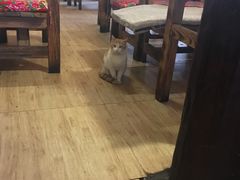 -小锅巴纳西餐厅