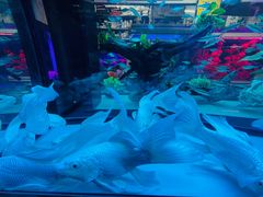 -三旗百汇商品城