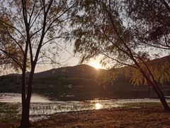 -长广溪湿地公园