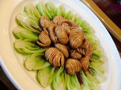 -碧丽宫大酒店(召稼楼店)