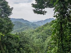 -老君山风景名胜区