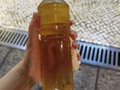 -大声公凉茶