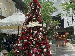 -深圳湾万象城(南山店)