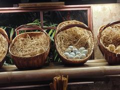 -春满园生态餐厅(南宫路店)