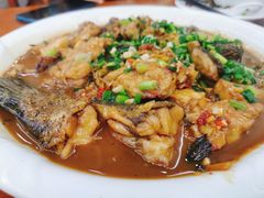 -全乐鱼馆·淳牌有机鱼直营店