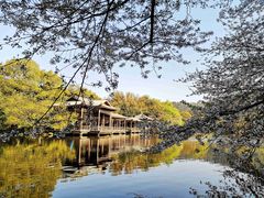 -西湖外事游船(花港观鱼码头)