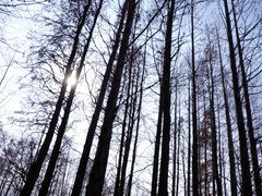 -上海海湾国家森林公园