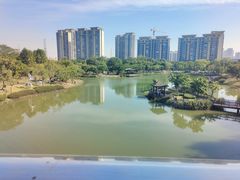 -王借岗森林公园