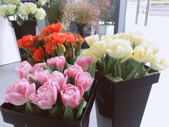 -Butchart布查德鲜花(花艺设计中心)