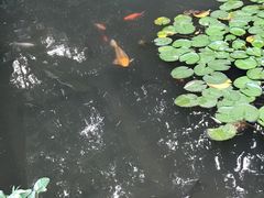 -杭州黄龙洞