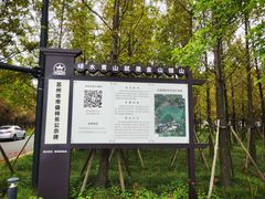 -状元楼(金溪路店)