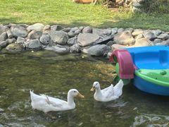 -HERRE·FARM 赫尔露营农场·团建聚会包场