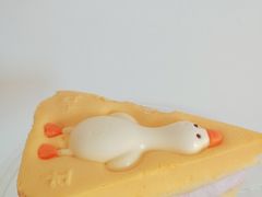 -可颂坊(凉城店)