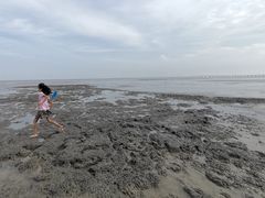 -南汇嘴观海公园