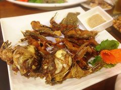 -C31地窖餐厅(黑龙江北路店)