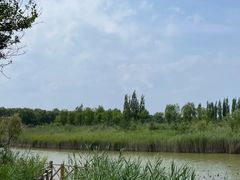 -野鸭湖国家湿地公园