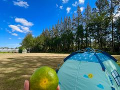 -前小桔亲子创意农场·草莓采摘·露营烧烤