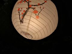 -日本料理神拉面