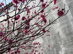 -上海市皮肤病医院(武夷路院区)