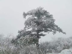 -秦岭风景区