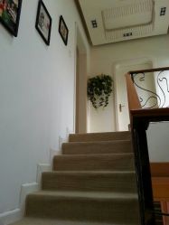 楼道-奈瑞儿美养院