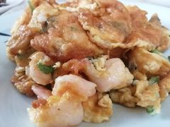 -食家鸽园