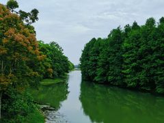 -上海海湾国家森林公园