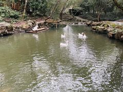 -兰亭风景区