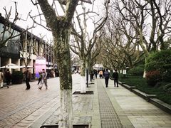 -西湖外事游船(湖滨二公园外事游船码头)