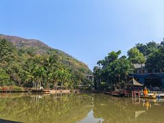 -西双版纳原始森林公园