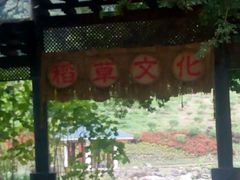 -广州市石门国家森林公园