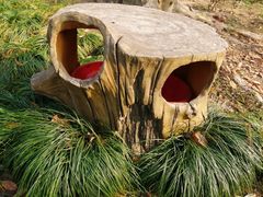 -华南国家植物园-售票处