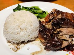 黑椒烧鹅饭-澳门陈光记烧味饭店(郎家园店)