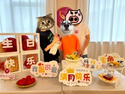 -金月汇月子会所(江门店)