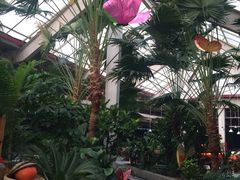 -红栌温泉山庄生态美食餐厅