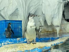 -太平洋海底世界