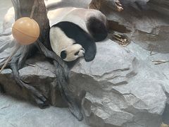 -宁波野生动物园