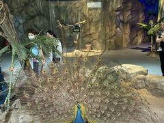 -海合安武汉极地海洋公园